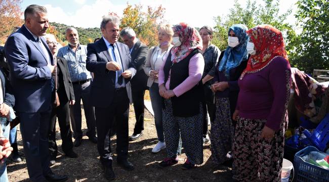 Bornova'da Zeytin Yetiştirme Teknikleri eğitimi