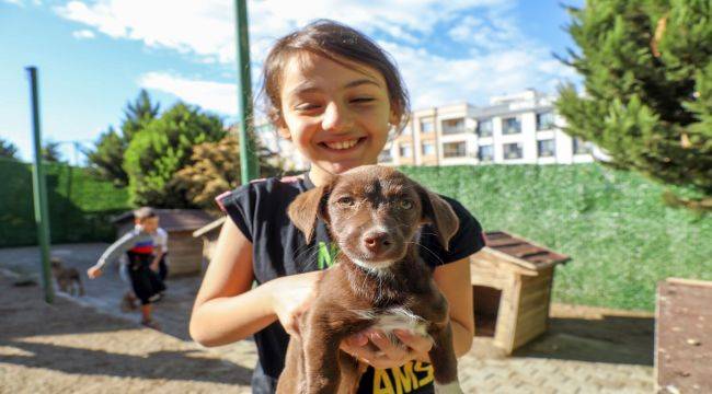 Buca'da can dostları sahipsiz değil