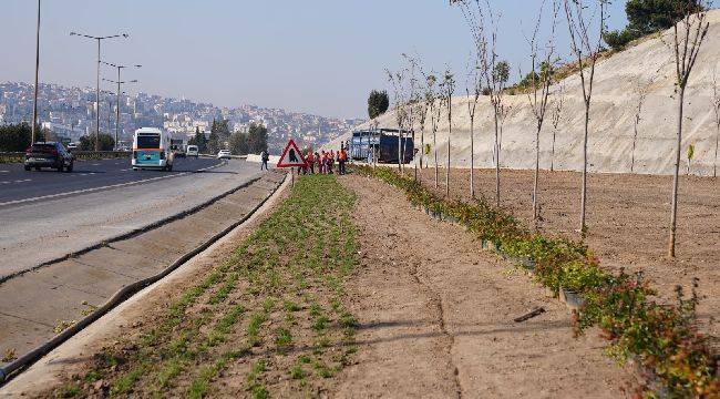 Kuraklığa karşı İzmir'in yeşil örtüsünde dönüşüm 